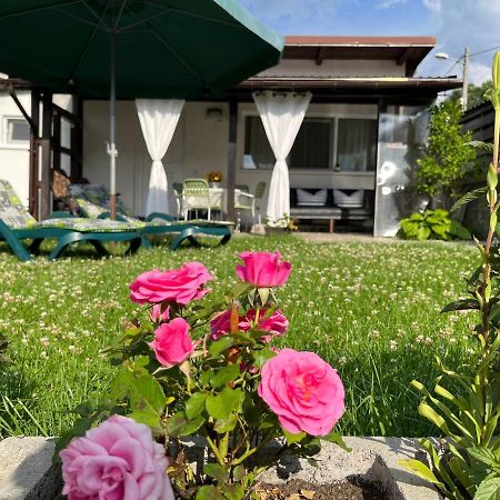 Charmante Petite Maison Transylvanie Villa Săcele Екстериор снимка