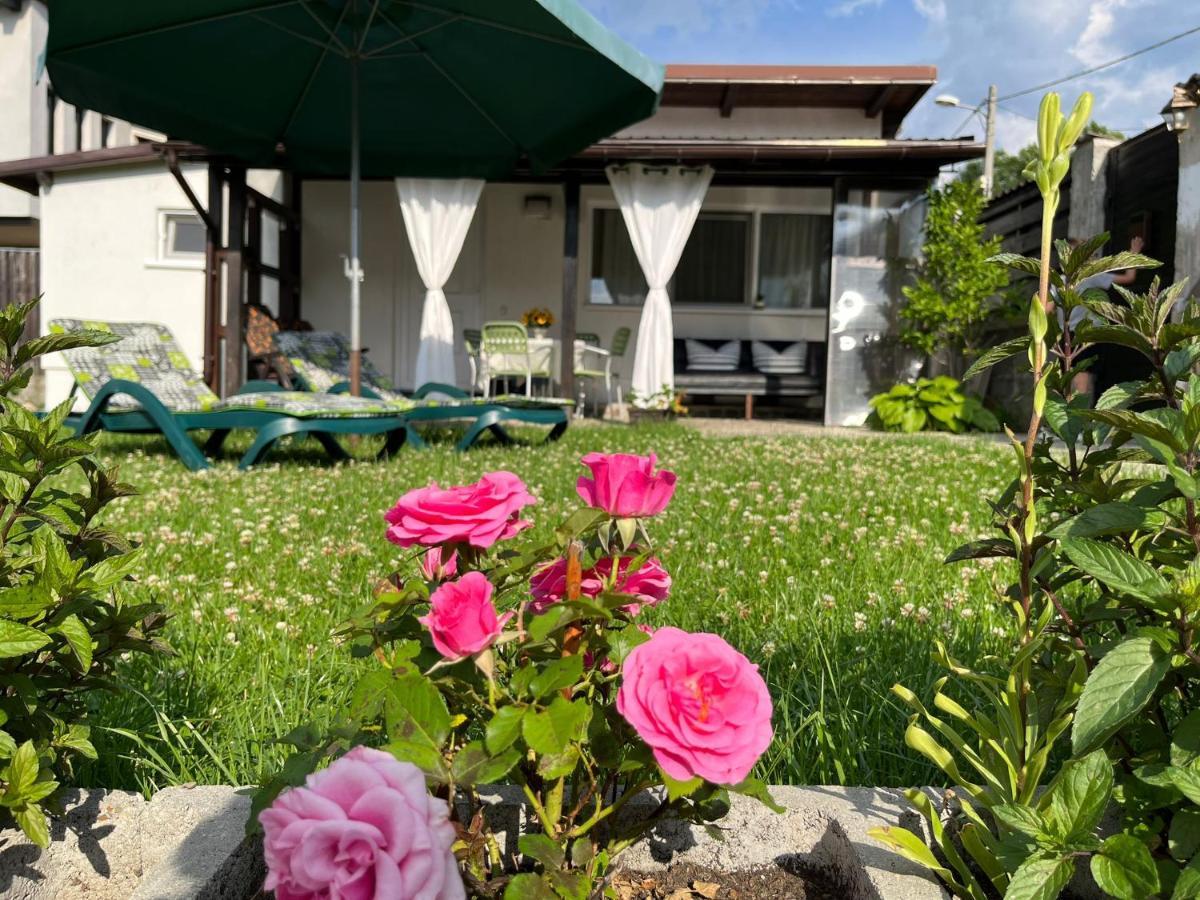 Charmante Petite Maison Transylvanie Villa Săcele Екстериор снимка