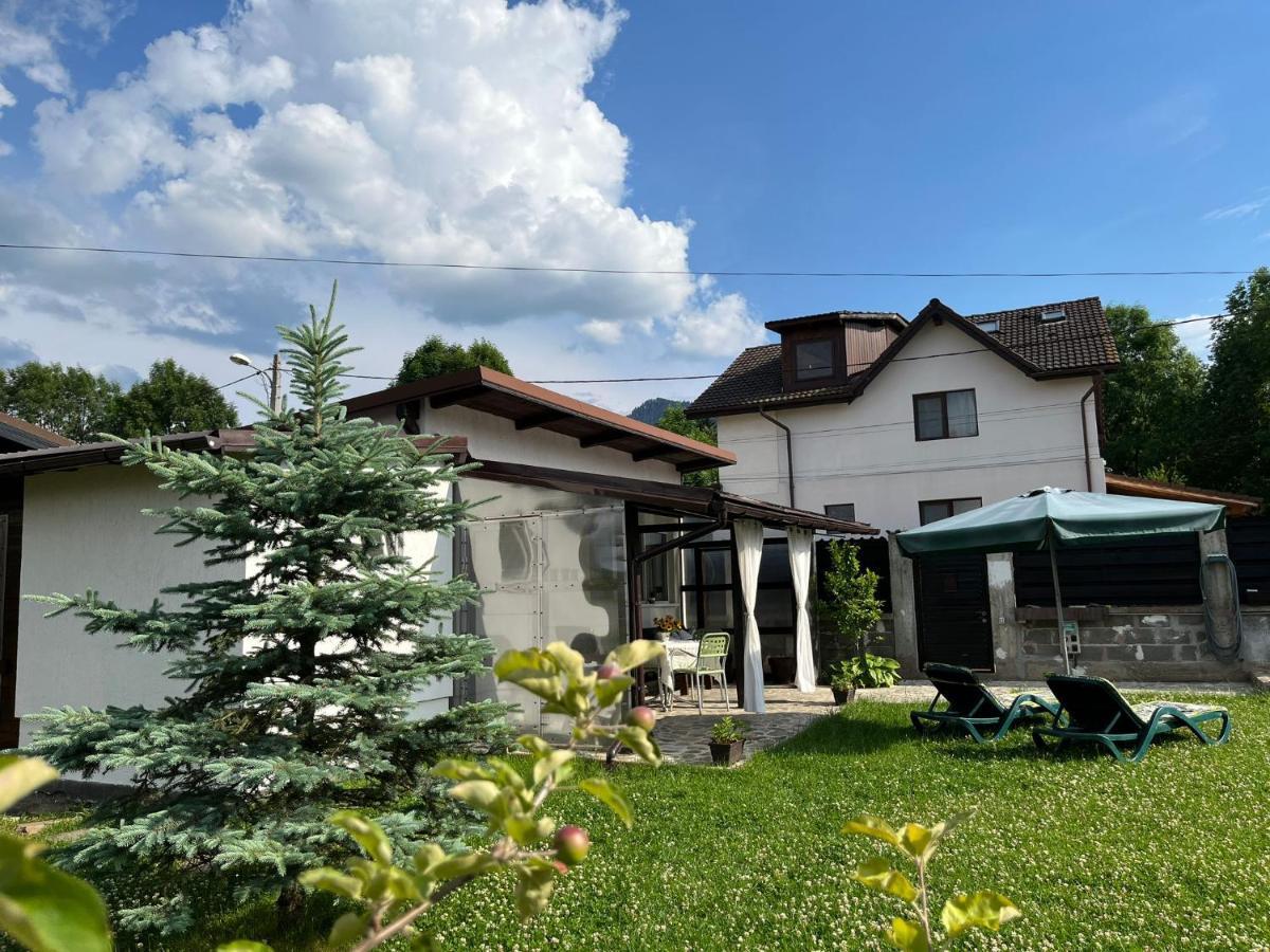 Charmante Petite Maison Transylvanie Villa Săcele Екстериор снимка